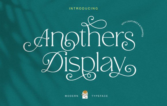 Anothers Display: A Modern Serif Font for Bold Branding