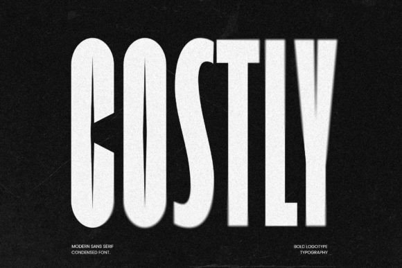 Costly Font for Handmade Creations