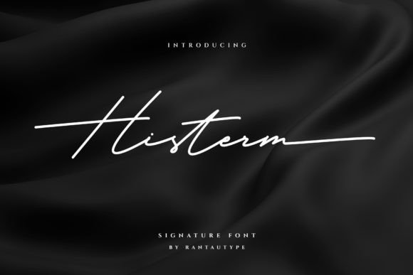 Histerm Font for Web Design and Branding