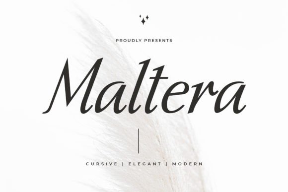 Maltera: A Modern Serif Font for Timeless Branding