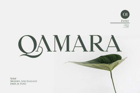 Qamara: A Bold Serif Font for Modern Branding