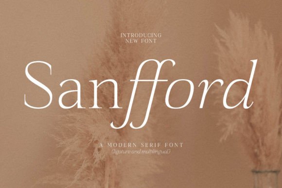 Sanfford: A Serif Font That Elevates Handmade Creations