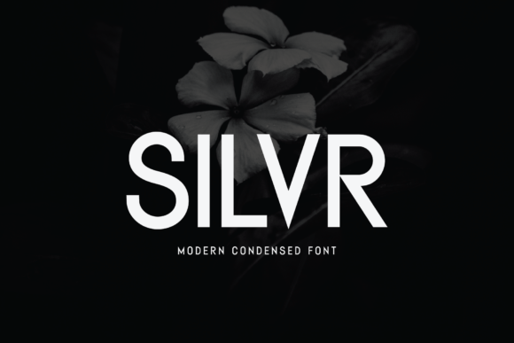 Silvr – A Modern Sans Serif Font for Digital Branding