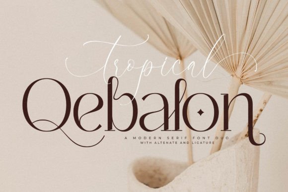 Tropical Qebalon Serif Font for Web Design